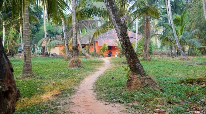 A beautiful village in Konkan, Goa.